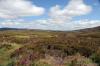 Findhorn July 2021 0253